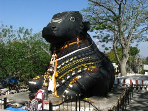 Shiva-ka-vahan-Nandi-bail