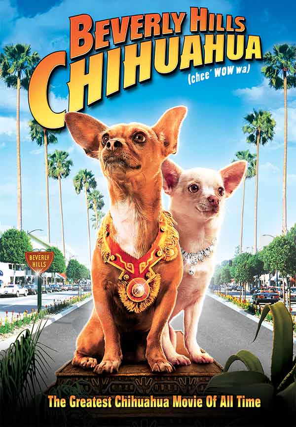 beverly-hills-chihuahua