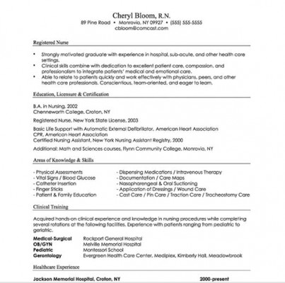 Resume Format Examples