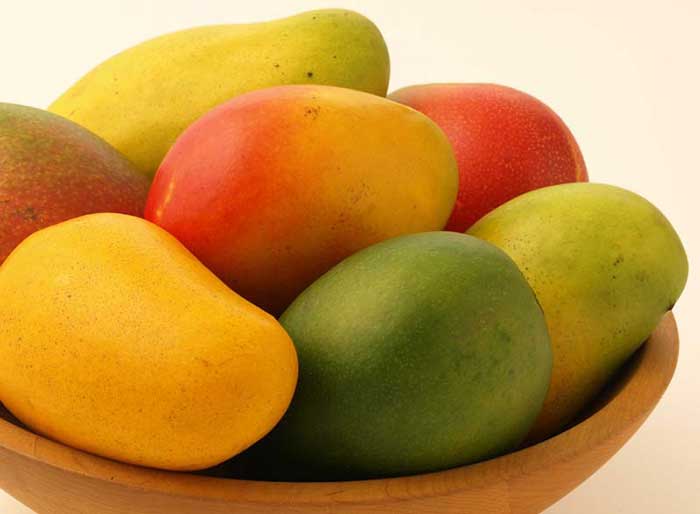 yummy tummy mangoes