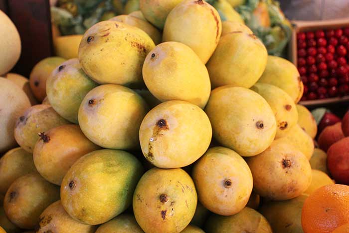 yummy tummy mangoes