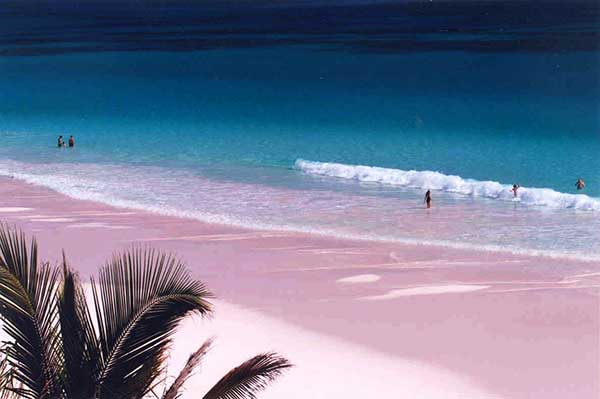 Pink Beaches In The World You Will Fall In Love With Them