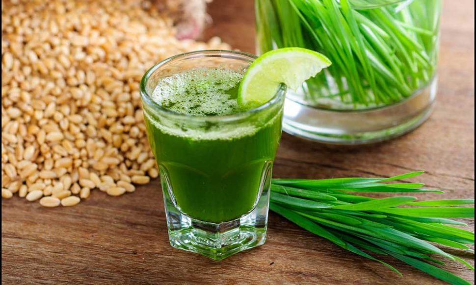 Wheatgrass Juice