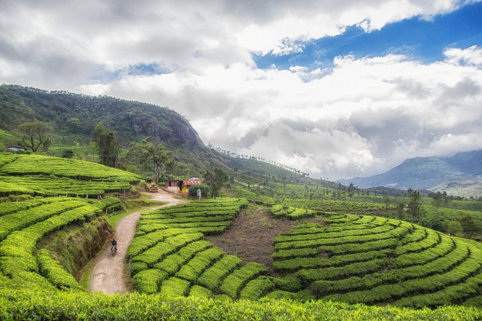 Munnar Hill Station - Munnar is Every Photographer's Muse