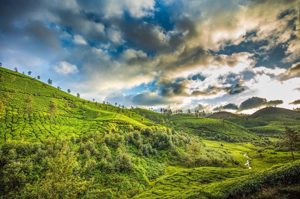 Munnar Hill Station - Munnar is Every Photographer's Muse