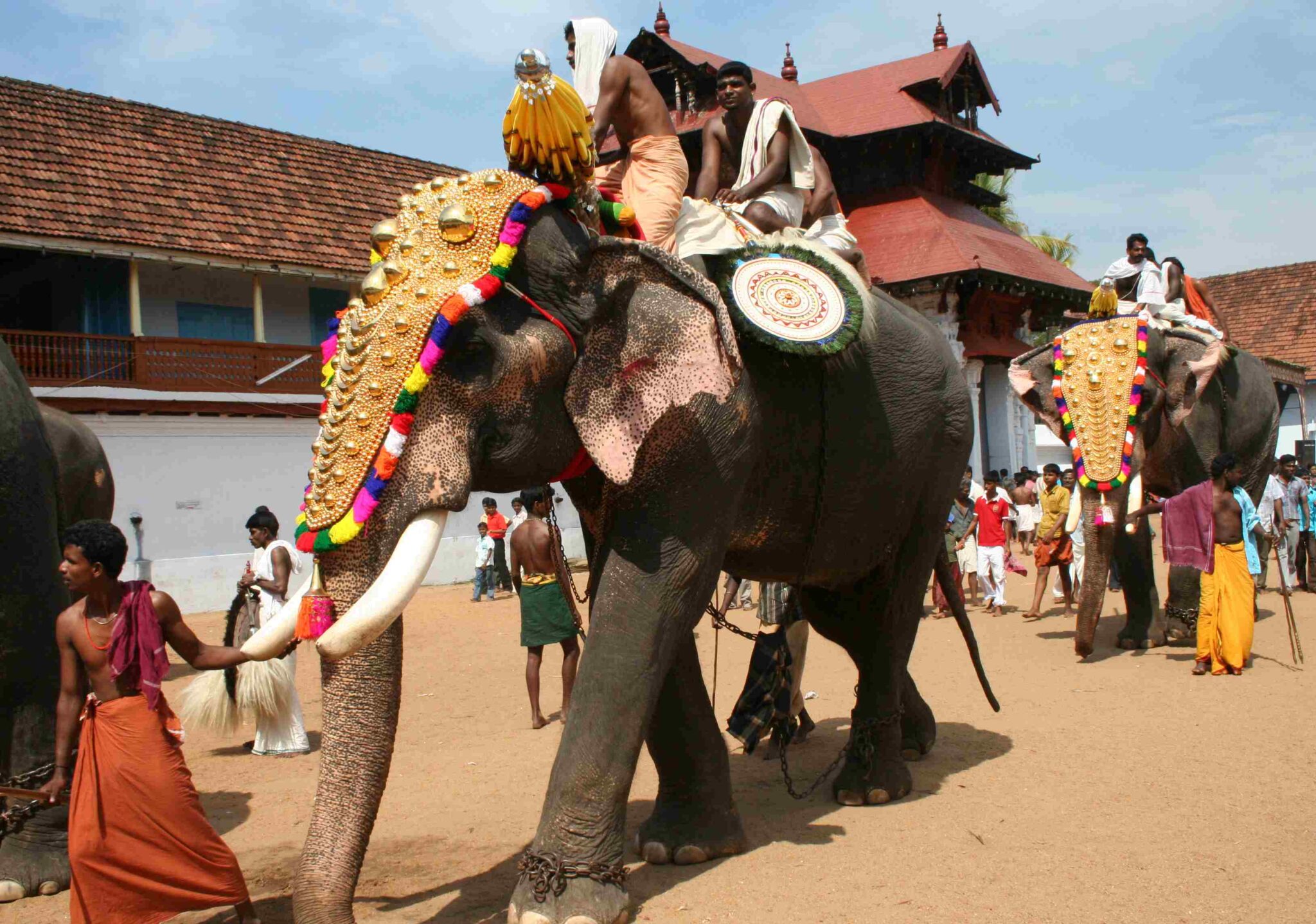 Why Elephants are Treated as Gods in Hindu Mythology?