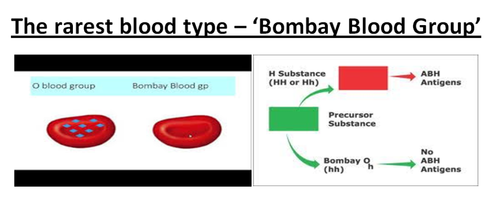 What Do You Know About The Rare HH Blood Group?